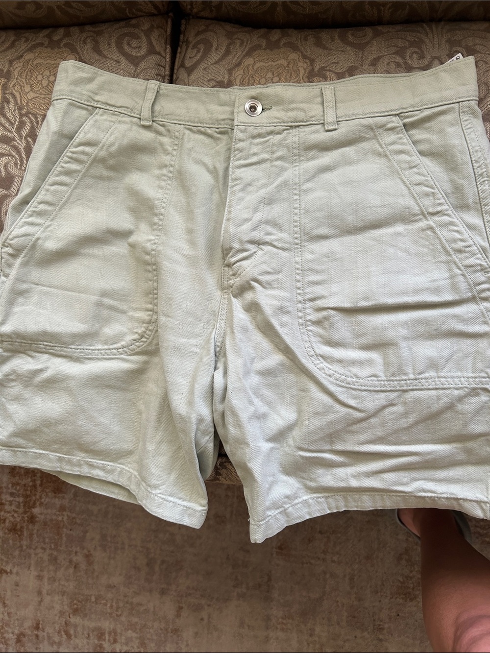 Zara Light Sage Green Cotton Flat Front Men's Shorts